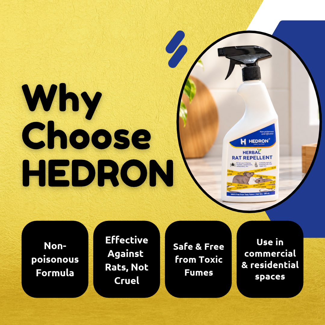 Herbal Rat Repellent - Image 6